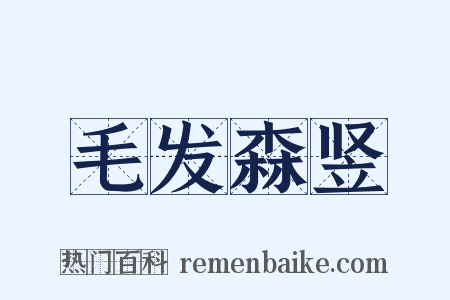毛发森竖是什么意思的图片